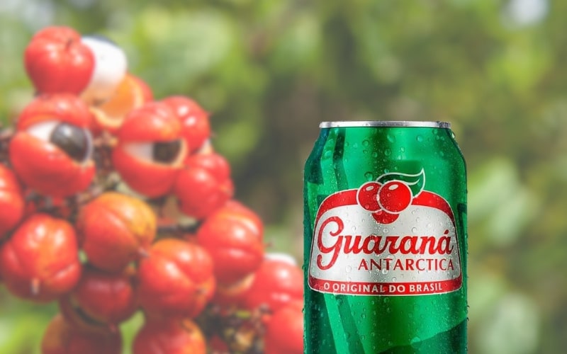 Guarana Soda